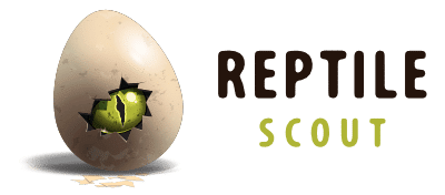 Reptile Scout