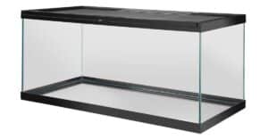 Ultimate 40-Gallon Bearded Dragon Tank Guide (Buying & Setup)